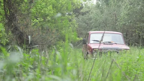 A weekend trip to the forest. Video stock 155365435