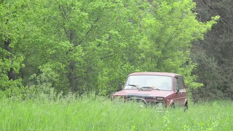 A weekend trip to the forest. Video stock 155365529