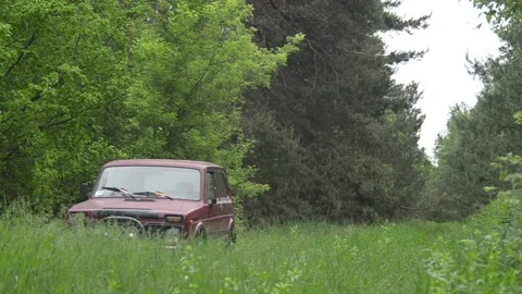 A weekend trip to the forest. Video stock 155365533