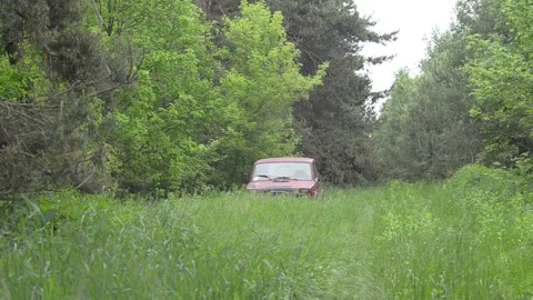 A weekend trip to the forest. 스톡 동영상 155365705