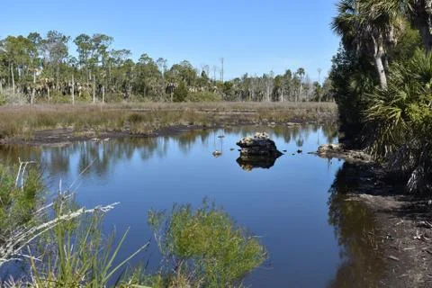 Weeki Wachee, FL Stock Photos