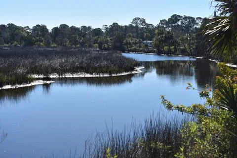 Weeki Wachee, FL Stock Photos