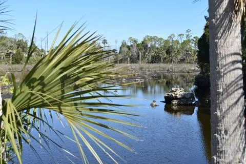 Weeki Wachee, FL Stock Photos