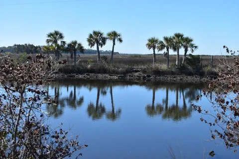 Weeki Wachee, FL Stock Photos