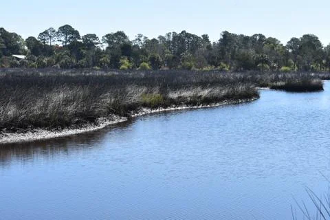 Weeki Wachee, FL Stock Photos