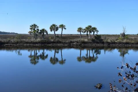 Weeki Wachee, FL Stock Photos