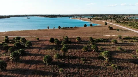 Weeki Wachee Preserves Stock Footage 143741656