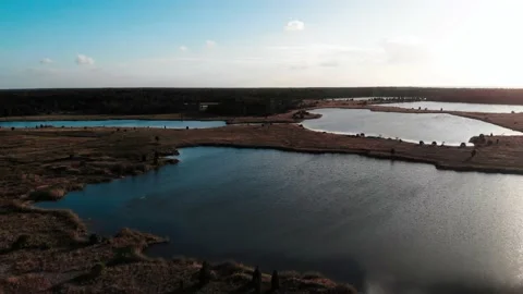 Weeki Wachee Preserves Stock Footage 143741666