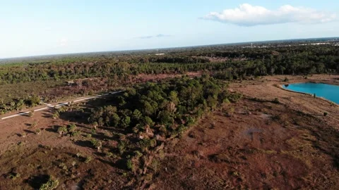 Weeki Wachee Preserves Stock Footage 143741758