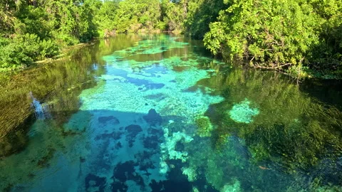 Weeki Wachee Springs, Hernando County Stock-Footage 284146138