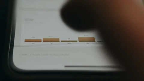 Weekly Earnings Summary, chart displaying earnings over a 7-day period Stock Footage 335494017