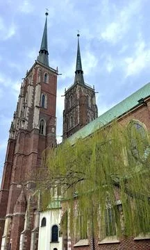 Weeping willow on the background of the beautiful old architecture of the city Stock Photos
