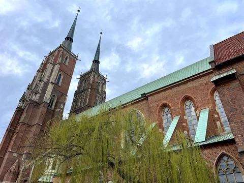 Weeping willow on the background of the beautiful old architecture of the city Stock Photos