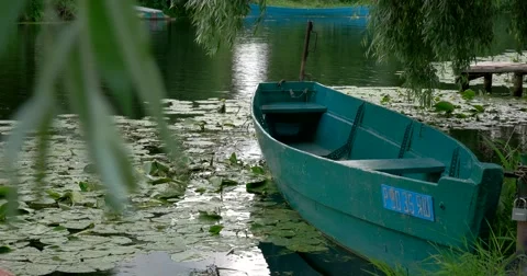 Weeping willow bent over a lonely boat, a Lily on the water, Pereslavl-Zalessky Stock Footage 65509147