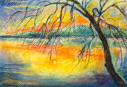 Weeping willow Stock Illustration