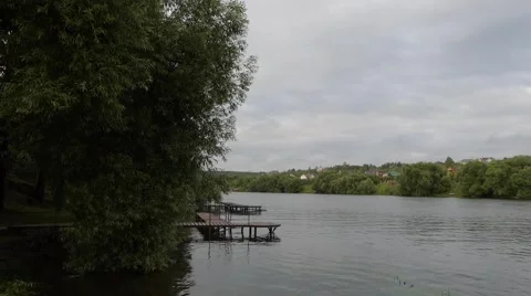 Weeping willow tree on the bank of a river in the summer. Stock Footage 51663501