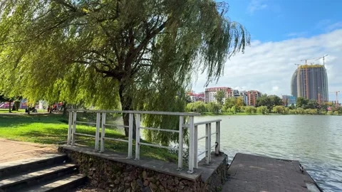 Weeping Willow Tree Grows On Park Lake Shore Near Pier With Metal Railing Stock Footage 344703476
