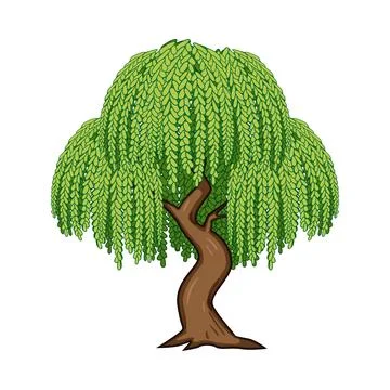 Weeping willow tree illustration with lush green foliage Stock Illustration