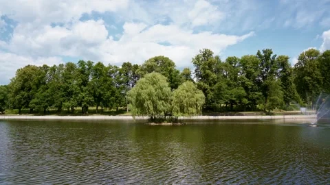 Weeping willow tree on a small island,Kudowa-Zdrój, Poland Stock Footage 339782422