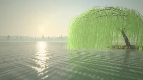 Weeping Willow Tree Swaying Over Pond at Golden Hour Seamless Loop Vídeo Stock 347127218