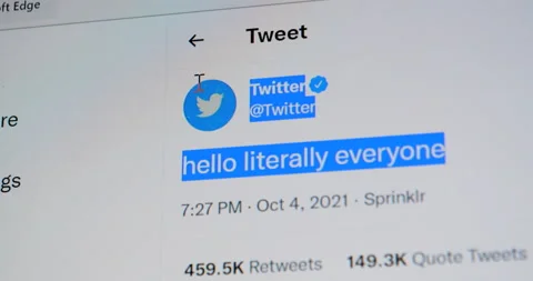 Weet from twitter hello literally everyone during global outages of Facebook 스톡 동영상 162497340
