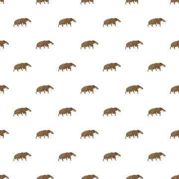 Weevil beetle repeating pattern on white background Stock Illustration