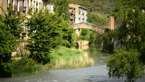 Weevil Bridge, Estella, Navarra, Spain, Europe. Camino de Santiago. Stock Footage 130797072