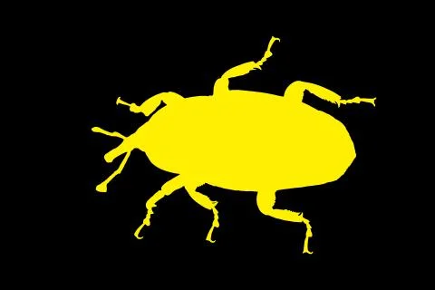 Weevil. Isolated on black background. Vector illustration. Иллюстрация