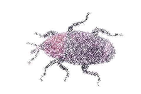 Weevil. Isolated on white background. Vector illustration. Illustrazione stock
