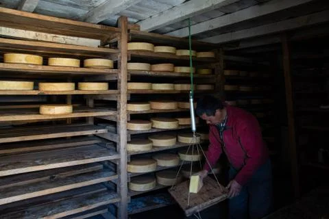 Weighing Cheese Stock Photos