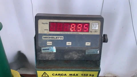 Weighing compost Stock Footage 262828681