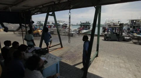 Weighing Container With Tuna Stock Footage 60925880