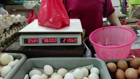 Weighing the eggs Stock Footage 262626032
