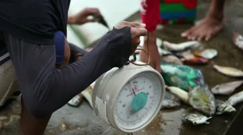 Weighing the Fish 動画素材 10821302