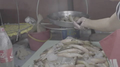 Weighing Fish Stock Footage 63520144