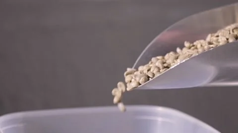 Weighing green coffee beans before roasting - pouring from scoop Stock-Footage 146472486