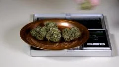 https://images.pond5.com/weighing-marijuana-buds-scale-and-footage-036276420_iconm.jpeg