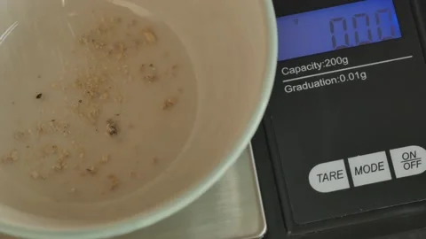 Weighing mushrooms Stock-Footage 239500909