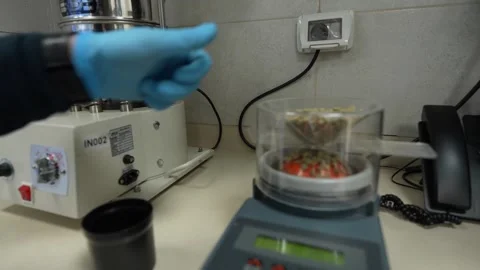 Weighing Roasted Coffee Beans on Digital Coffee Scale Close Up Stock Footage 327731182
