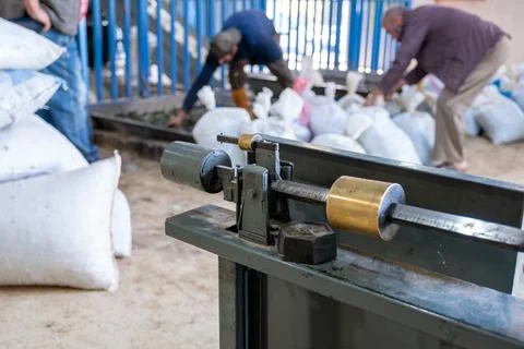 Weighing scale with workers in background and packs of olives to be pressed.. Stock Photos