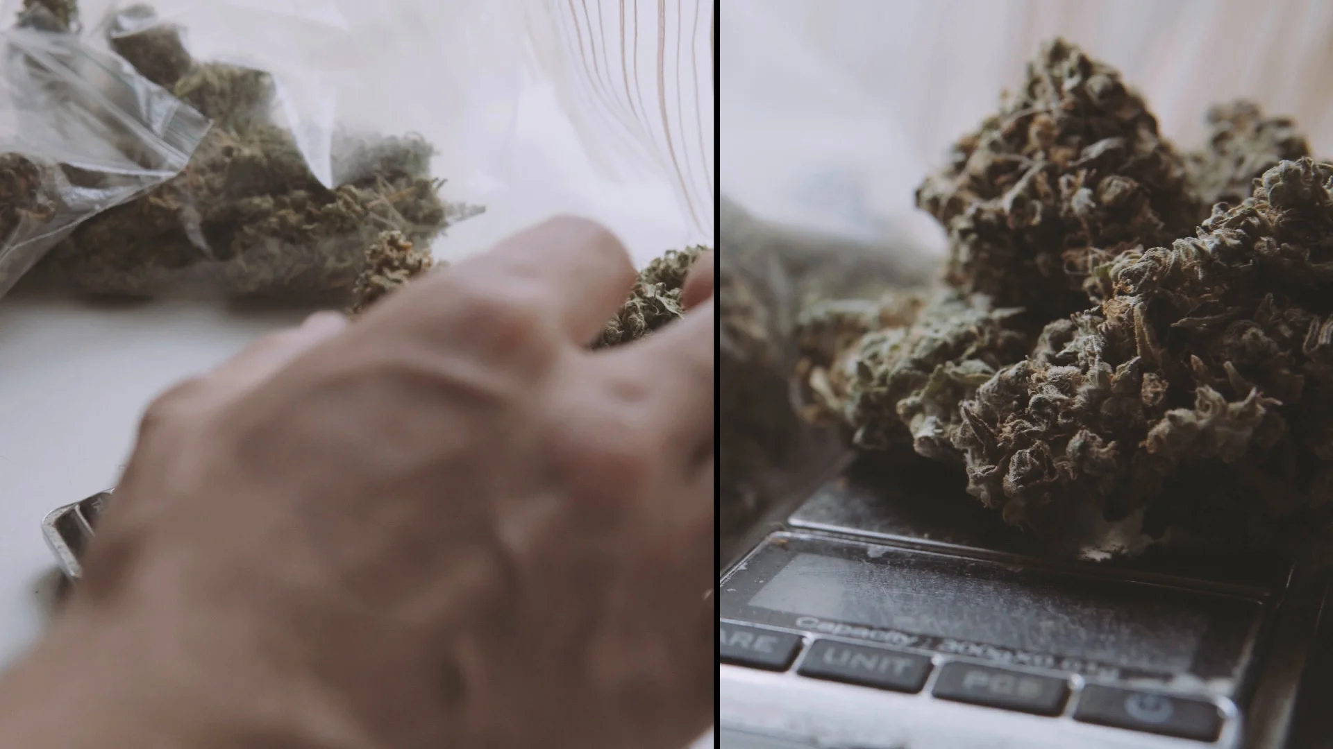 Marijuana Buds And Weighing Scale - Stock Video