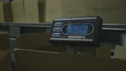 Weight Changing on Digital Scale Stock Footage 139313376