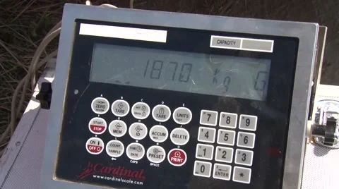 Weight indicator 스톡 동영상 54612294