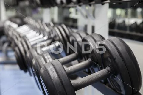 Weight lifting Stock Photos