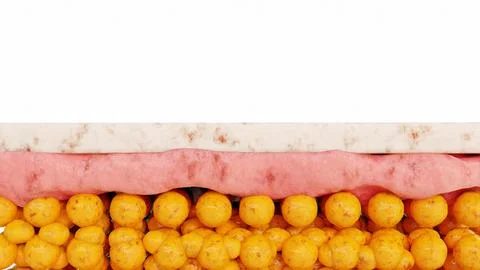 Weight loss Comparison. Before and after a thick and thin waist, Fat belly burn Stock Illustration