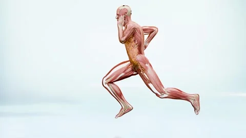 Weight loss running jogging Stock Video Pond5