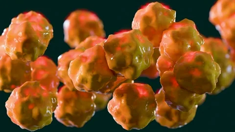 Weight loss. fat burn in human tissue, Adipose connective tissue 動画素材 337698872