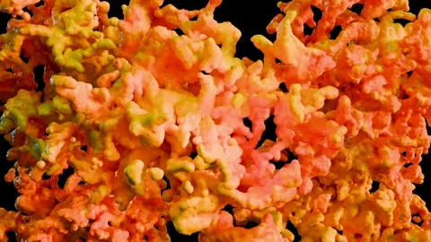 Weight loss process. fat burn in human tissue, Adipose connective tissue Video stock 309779854