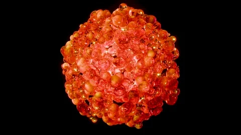 Weight loss process. fat burn in human tissue, Adipose connective tissue Stock Footage 309779892