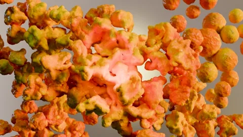 Weight loss process. fat burn in human tissue, Adipose connective tissue Stock Footage 309780223